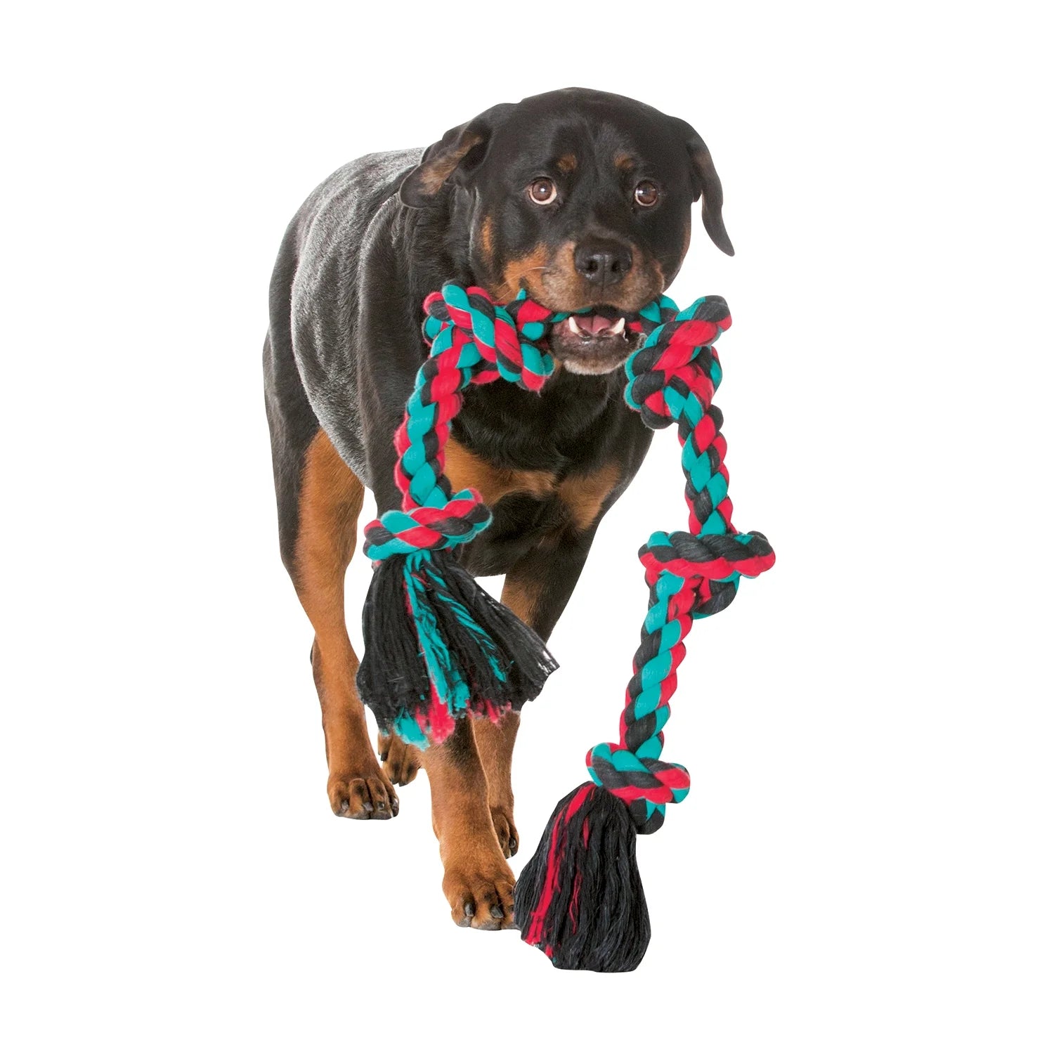 Flossy Chews Cottonblend 3 Knot Tug Rope Dog Toy, Extra-Large, 36", Assorted Colors