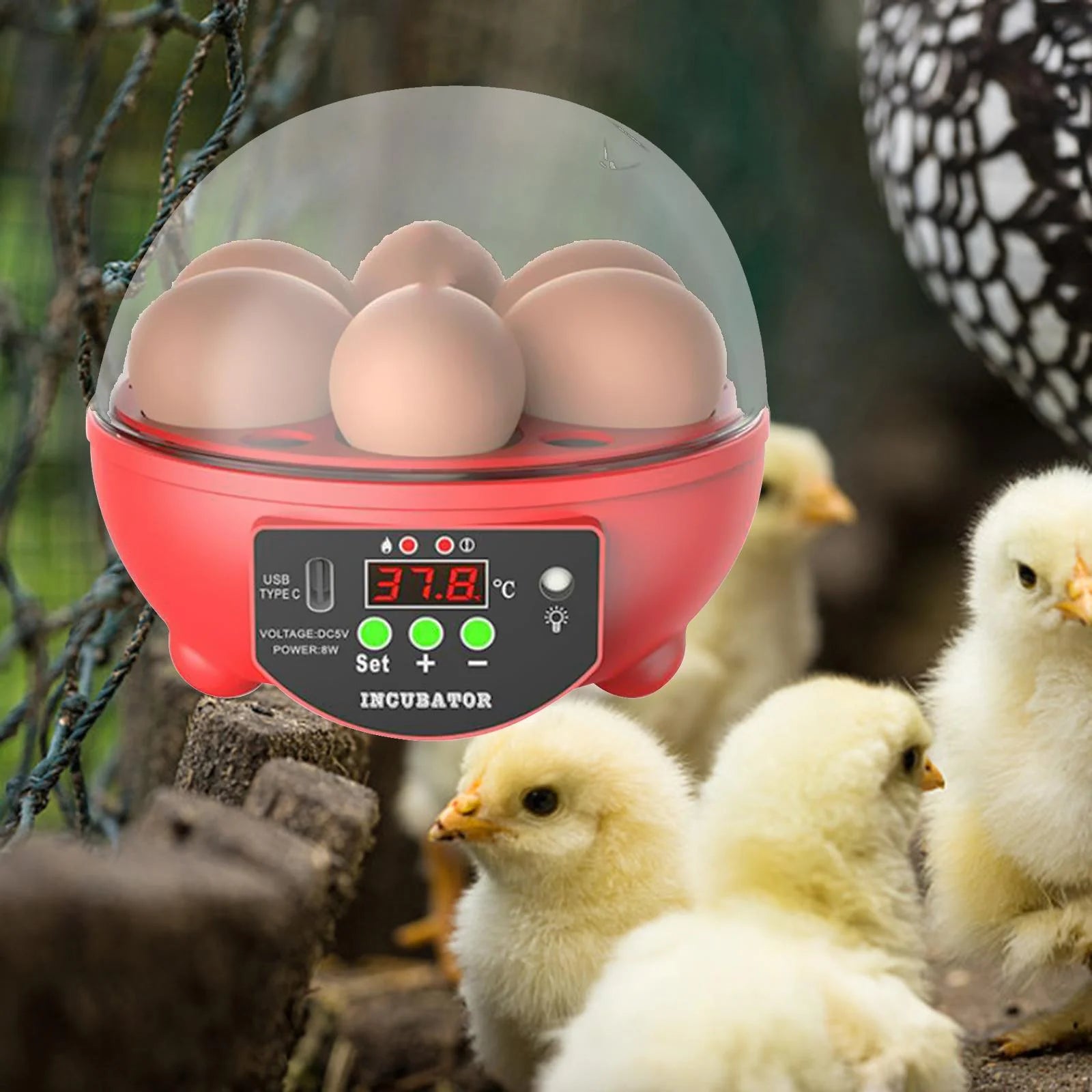 Automatic Digital Poultry Ing Machine, Automatic Egg Turner Temperature Control Small 6 Egg Incubator for Chicken Ducks Quail Red