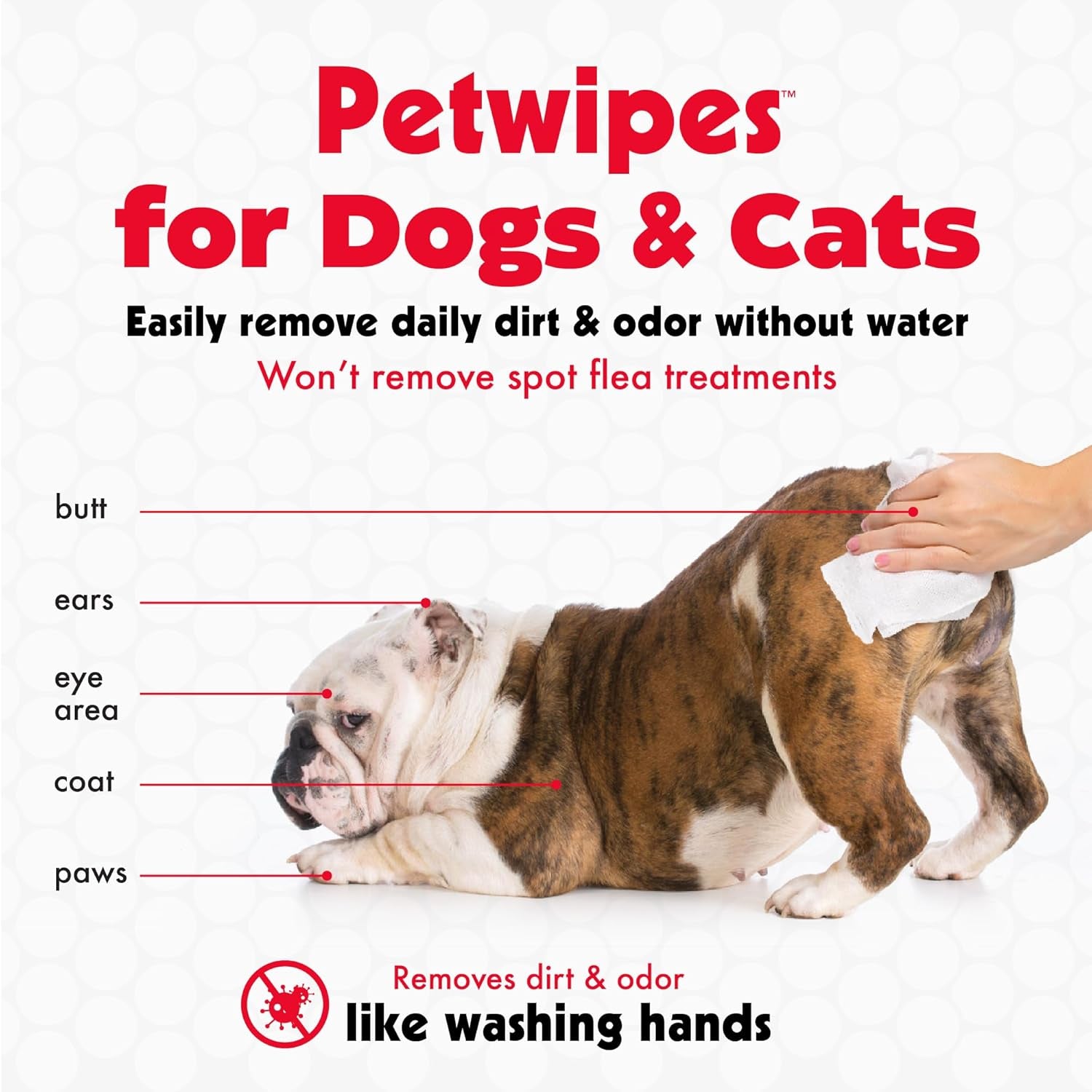 Pet Wipes for Dogs and Cats, 200 Large Wipes - Removes Dirt & Odor like Washing Hands - Cleans Ears, Face, Butt, Eye Area - Convenient, Ideal for Home or Travel - 2 Packs of 100 Wipes