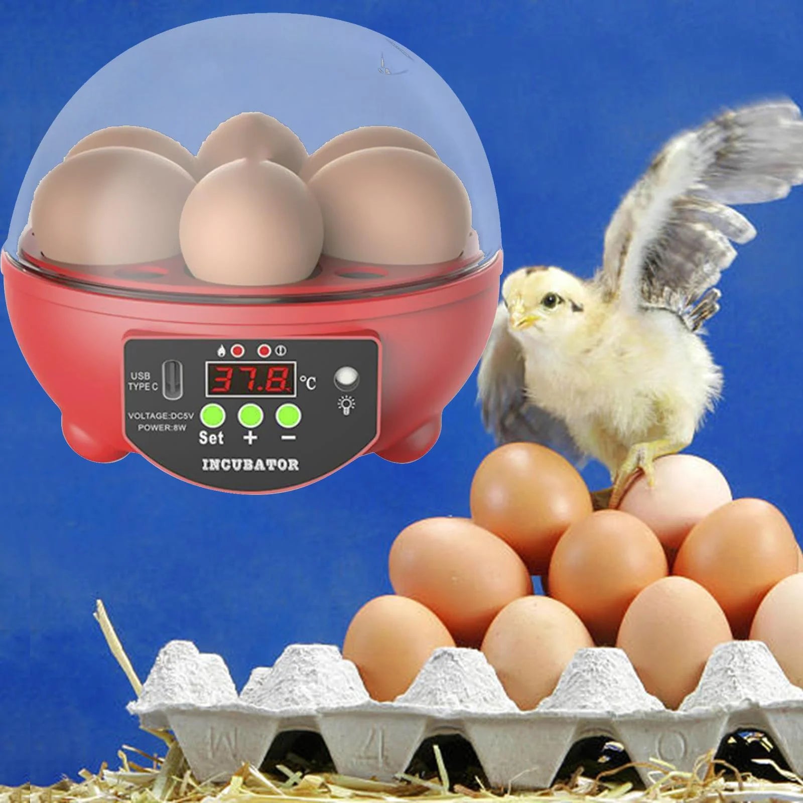 Automatic Digital Poultry Ing Machine, Automatic Egg Turner Temperature Control Small 6 Egg Incubator for Chicken Ducks Quail Red